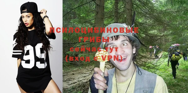 МДПВ Кукмор