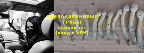 соль курить ск Кулебаки