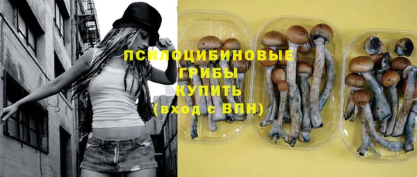 МДПВ Кукмор