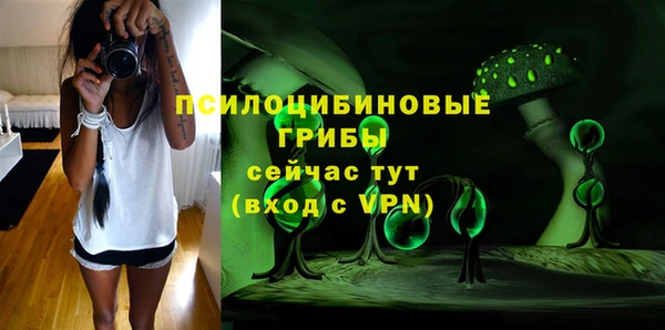 МДПВ Кукмор