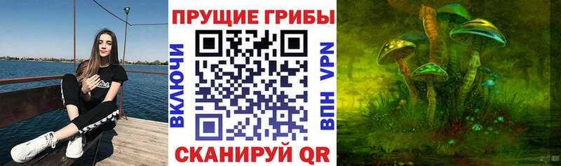 Купить где  Нахабино  Галлюциногенные грибы GOLDEN TEACHER 
